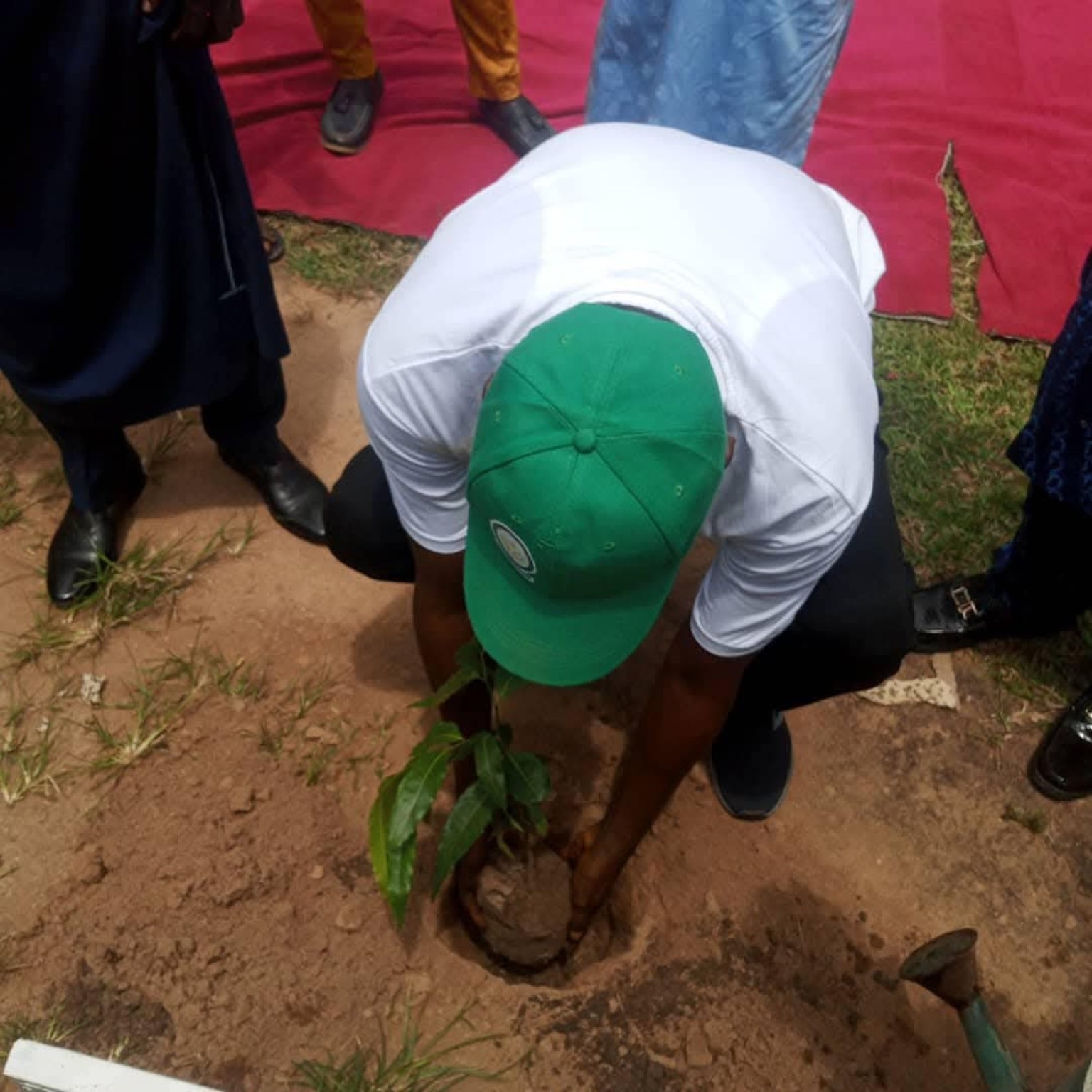 Community tree planting activity